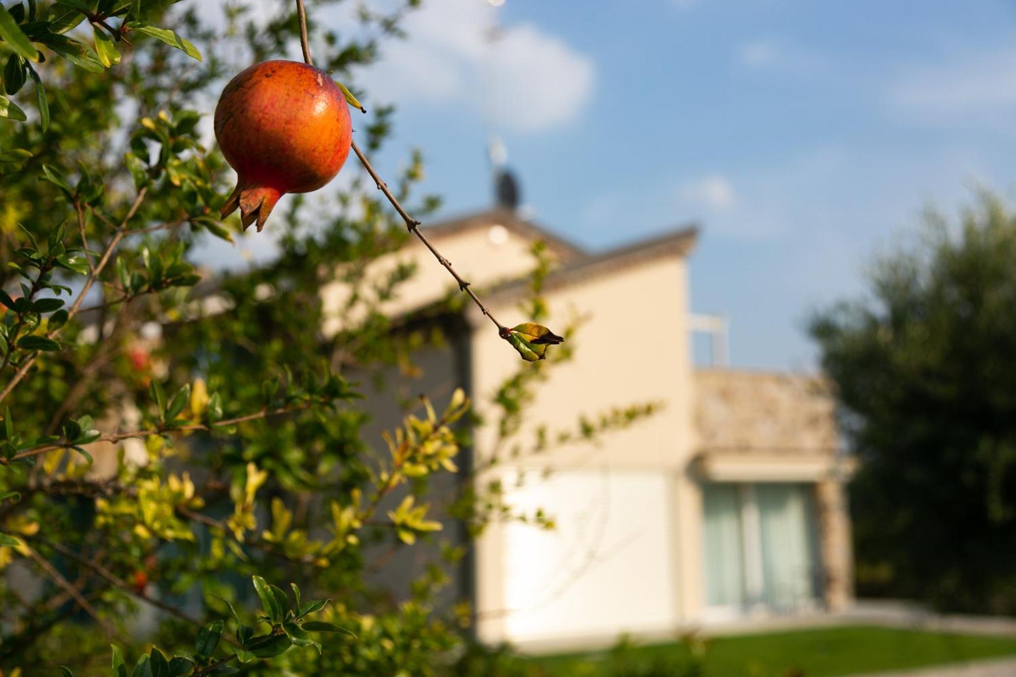 Aparthotel Casa Massaro Todeschini Abano Terme Exterior foto