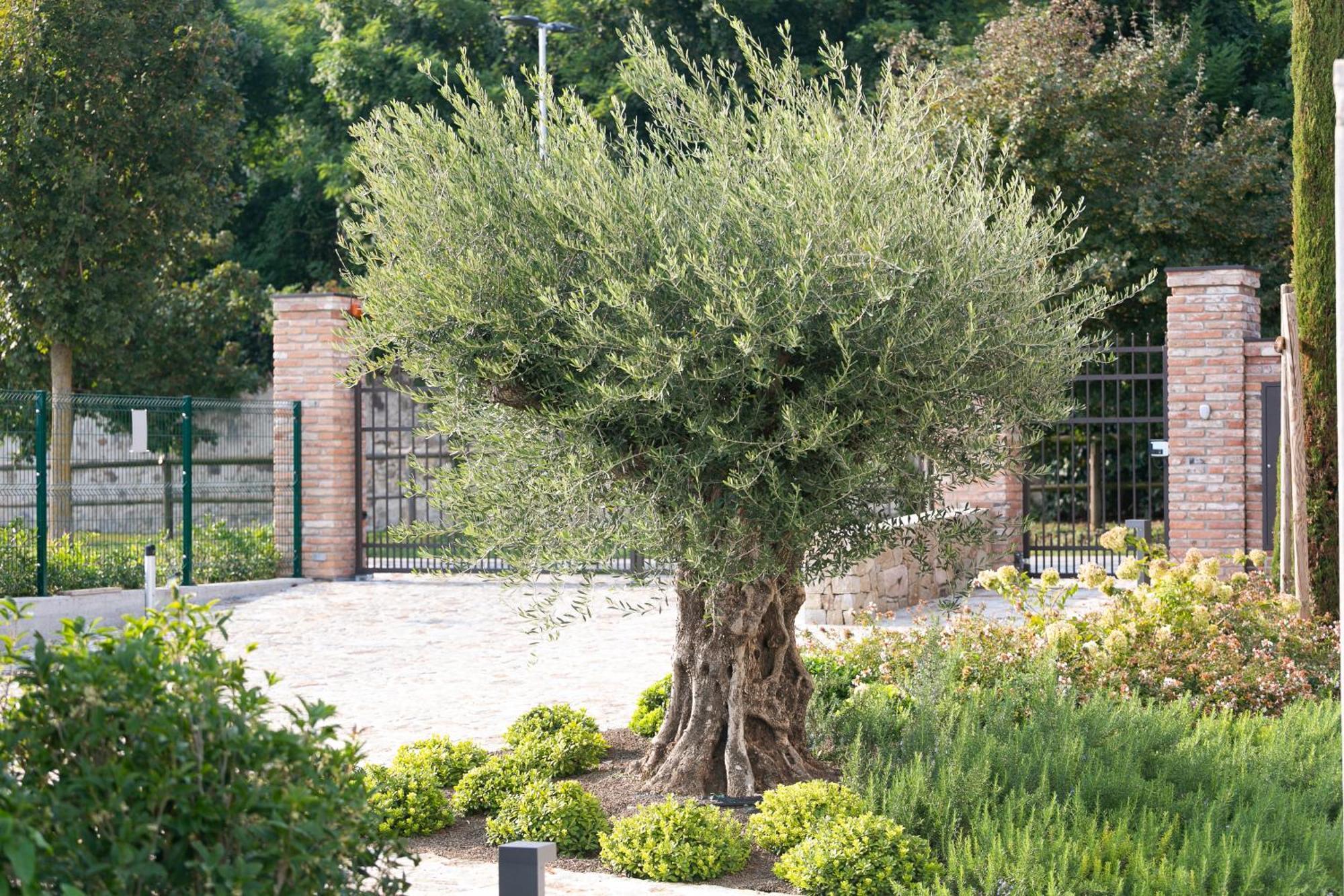 Aparthotel Casa Massaro Todeschini Abano Terme Exterior foto